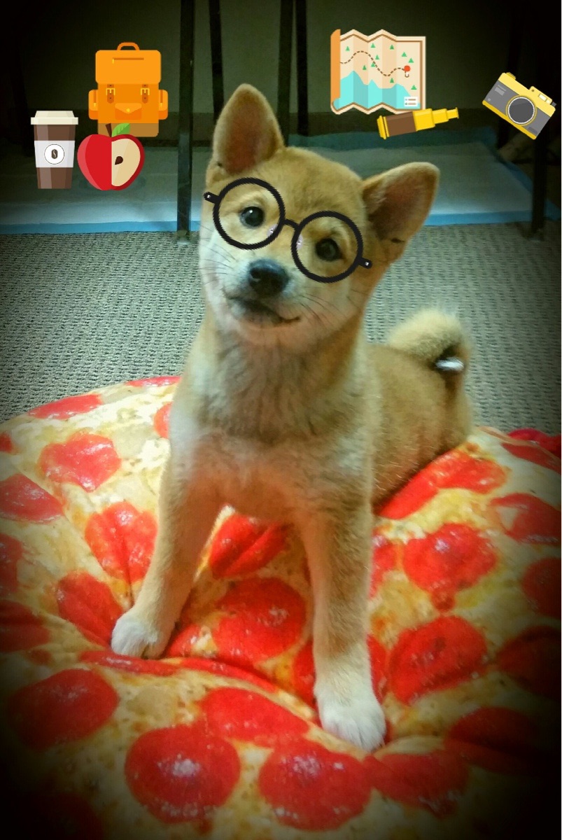 山地越野跑夺冠赛，冒险精神的极限飞跃，山地越野跑步