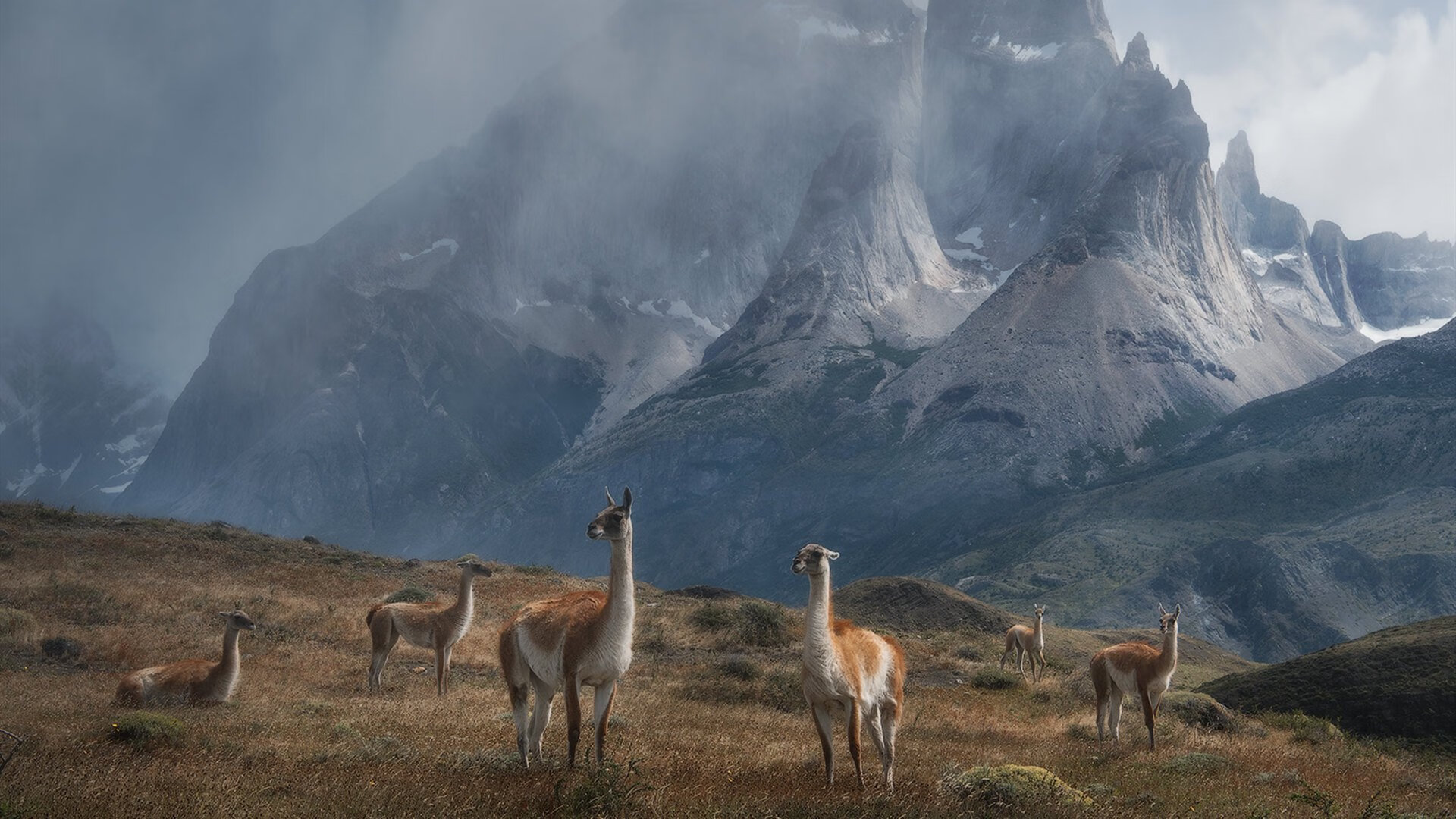 开云esports-“英超赛季渐入佳境，豪门各显神通”，英超赛季前瞻