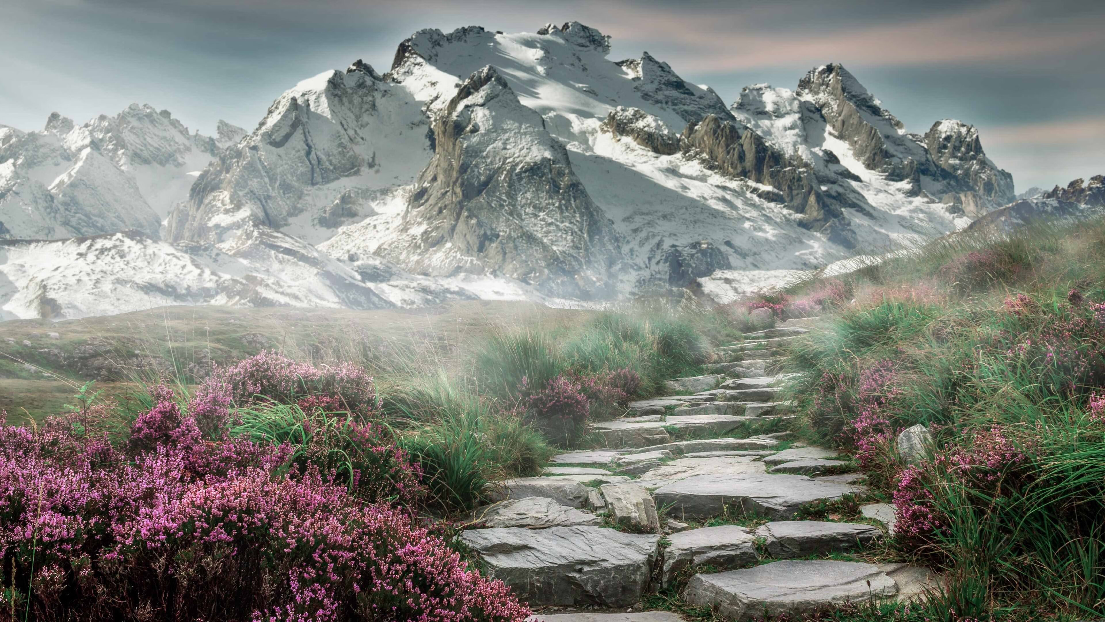 开云体育官方入口-图卢兹中锋状态火热，球队迎来佳绩，图卢兹insa