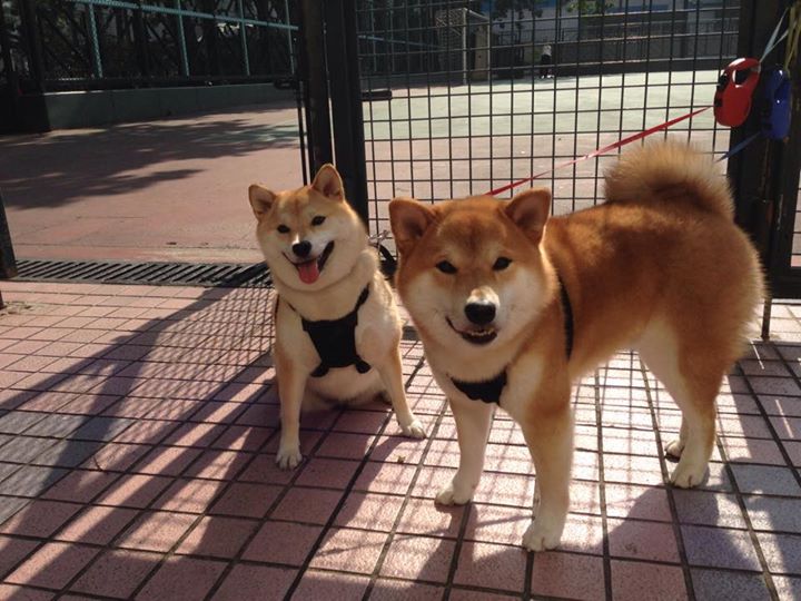 开云体育app网页版安全-康复背后：如何科学帮助伤员快速复出？，帮助患者康复